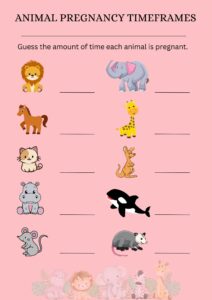 Animal Baby Shower Game