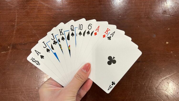 500 card game - example of an excellent hand!