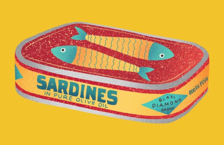 sardines camp game