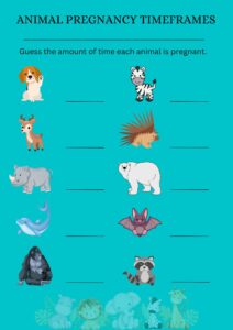 Animal pregnancy times - baby shower games
