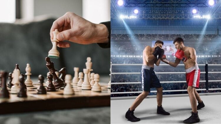 CHESS BOXING overview