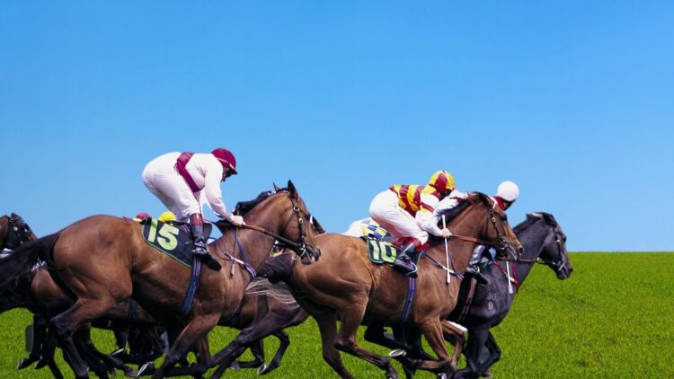 HORSE RACING overview