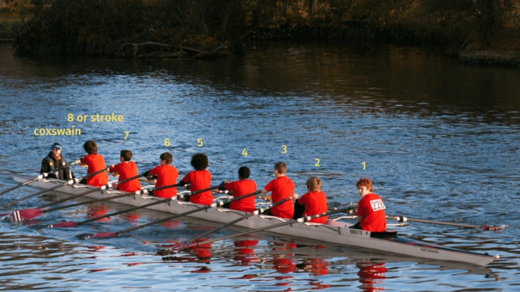 rowing team positions