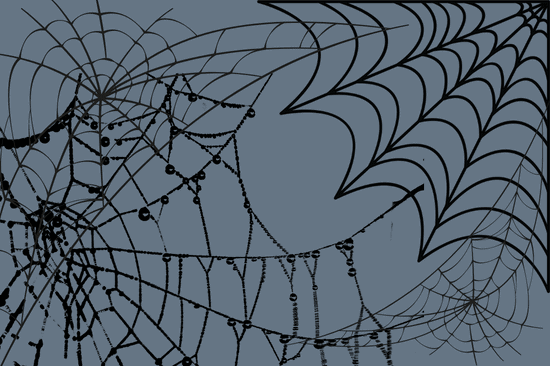SPIDER WEB , SPIDER WEB  rules
