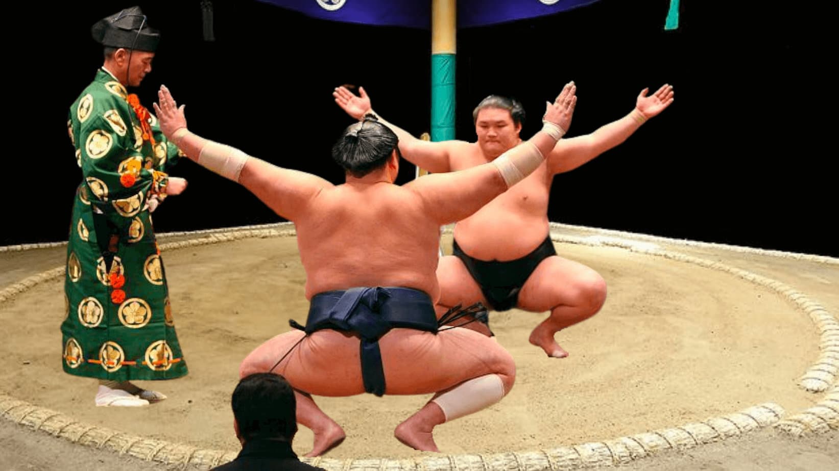 SUMO WRESTLING Game Rules How To SUMO WRESTLE