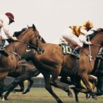 The Best Games for Horse Racing Fans