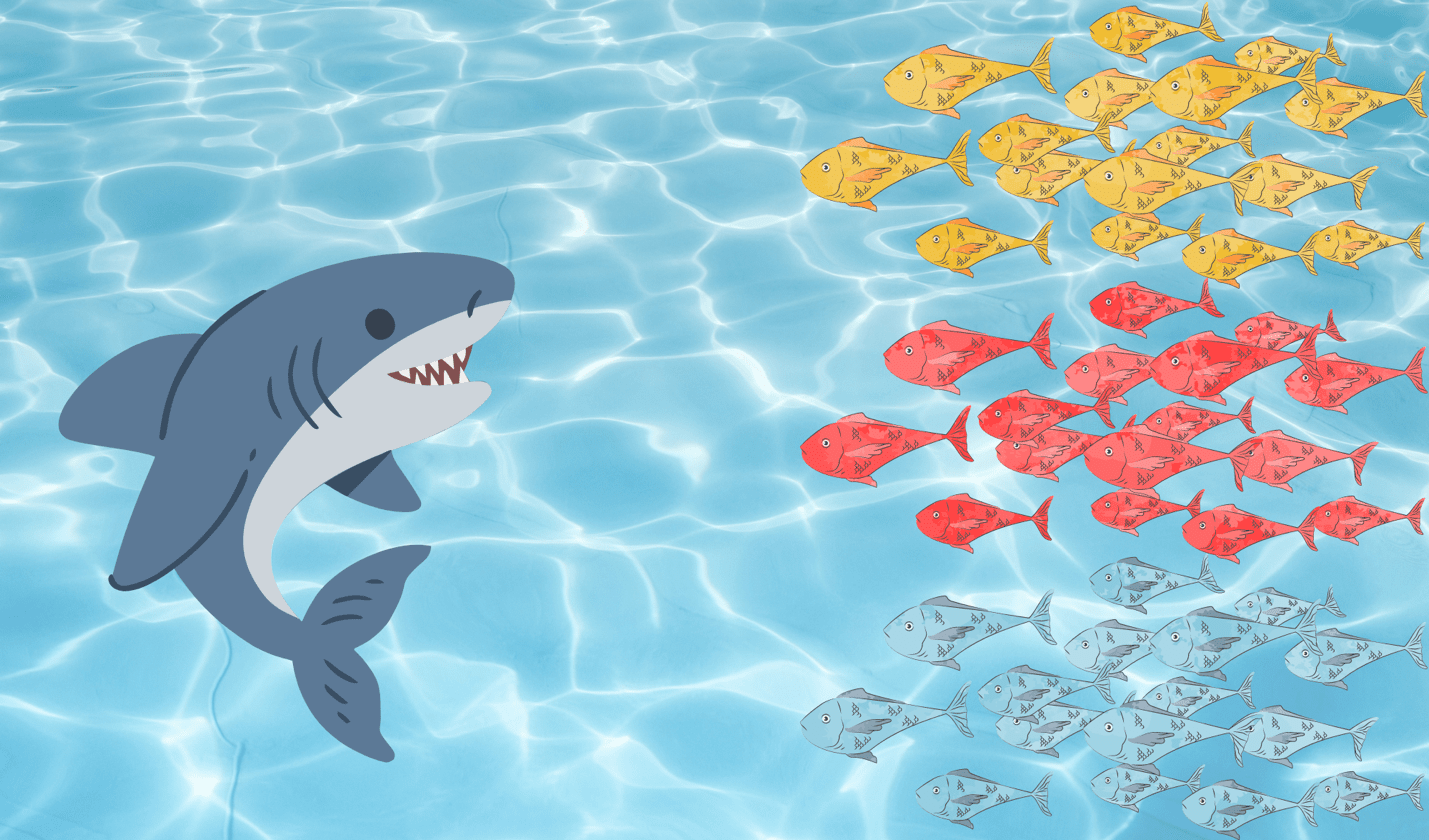 SHARKS AND MINNOWS POOL GAME Game Rules - How To Play SHARKS AND ...