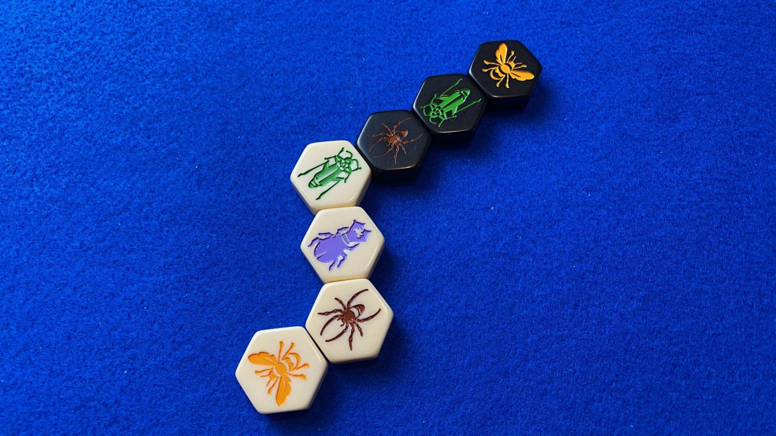 HIVE Learn To Play With