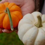 20 Fun Minute to Win It Thanksgiving Games thanksgiving minute to win it games