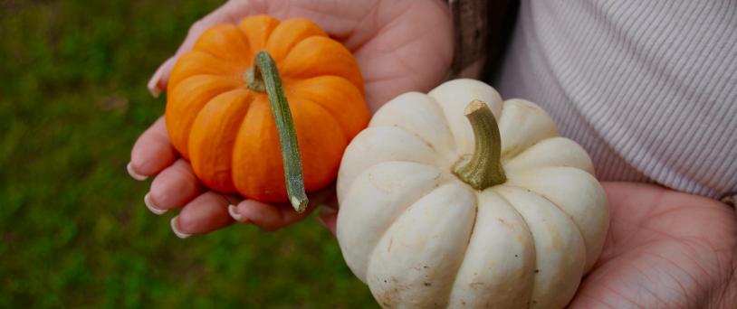 thanksgiving minute to win it games