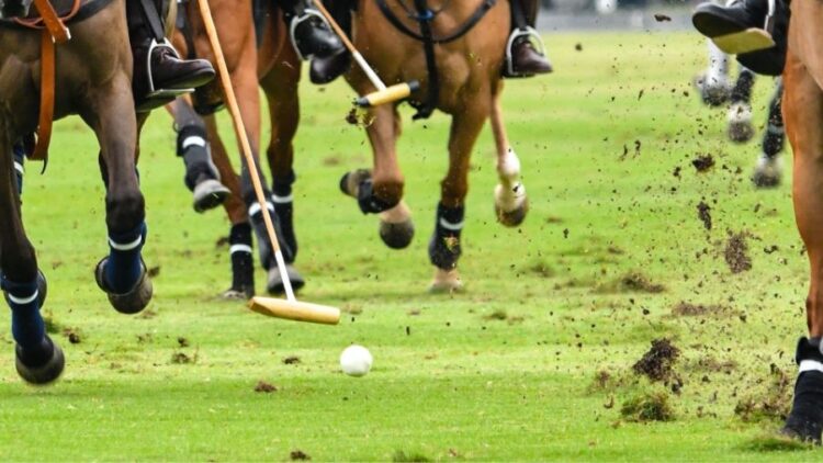 polo sport rules