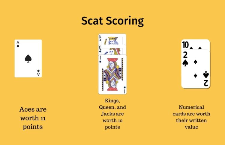 scat scoring